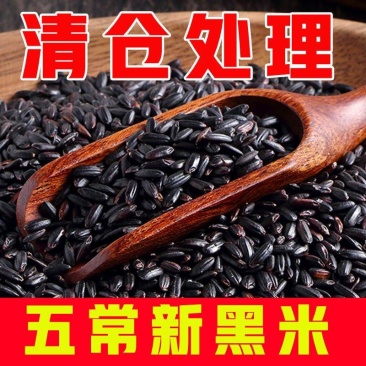 东北黑米饭长粒煮粥特价黑糯米农家优质黑米五谷杂粮米批发