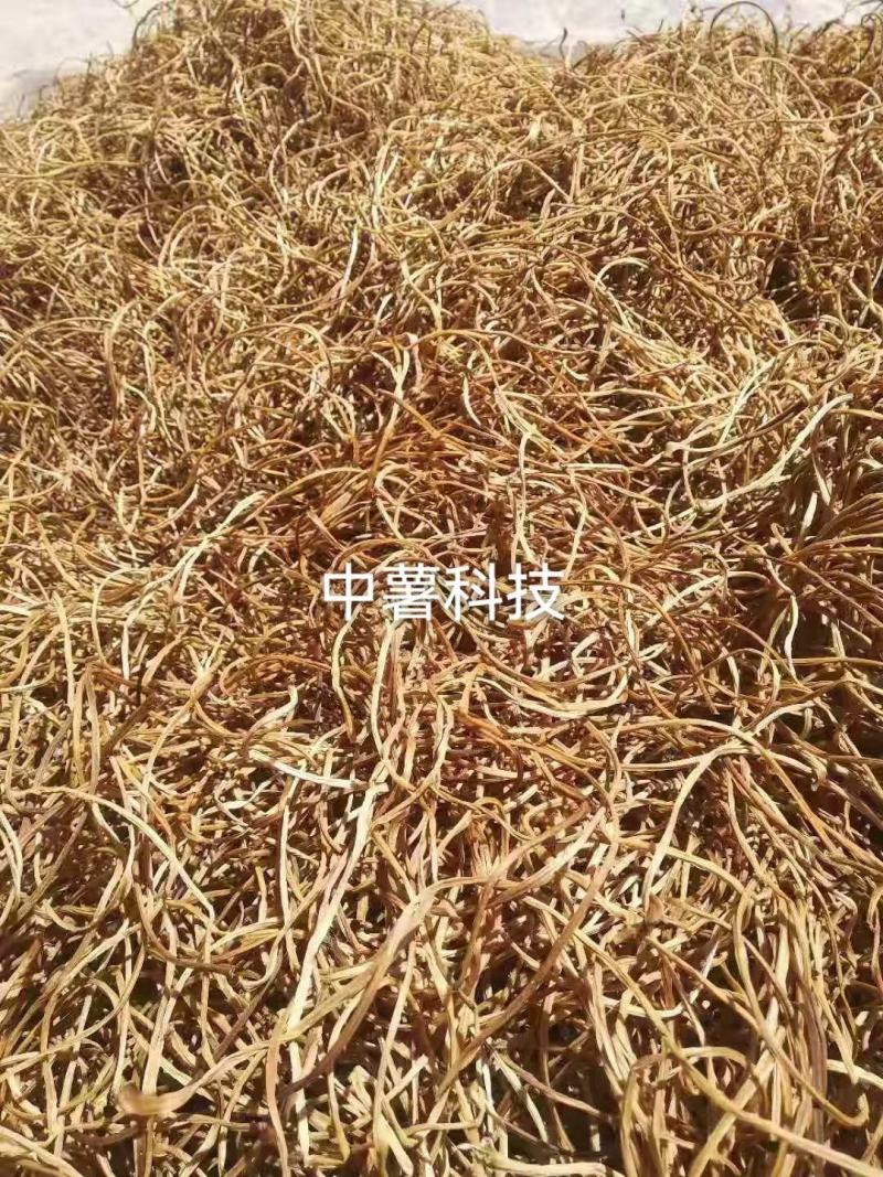红薯梗地瓜梗红薯杆地瓜杆