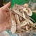 中药材茄根茄子根干净无杂实物拍摄冷背药材大全