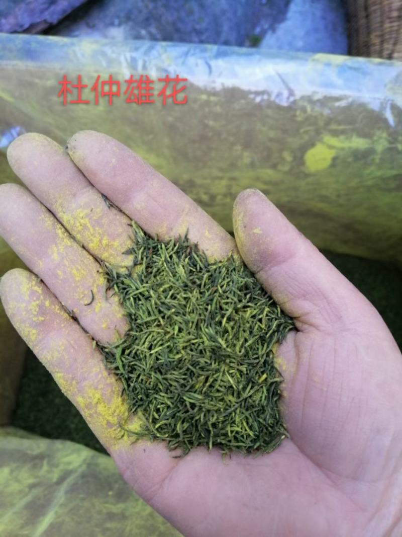 天然椴木黑木耳，椴木黄金木耳，椴木香菇，天麻，土蜂蜜，