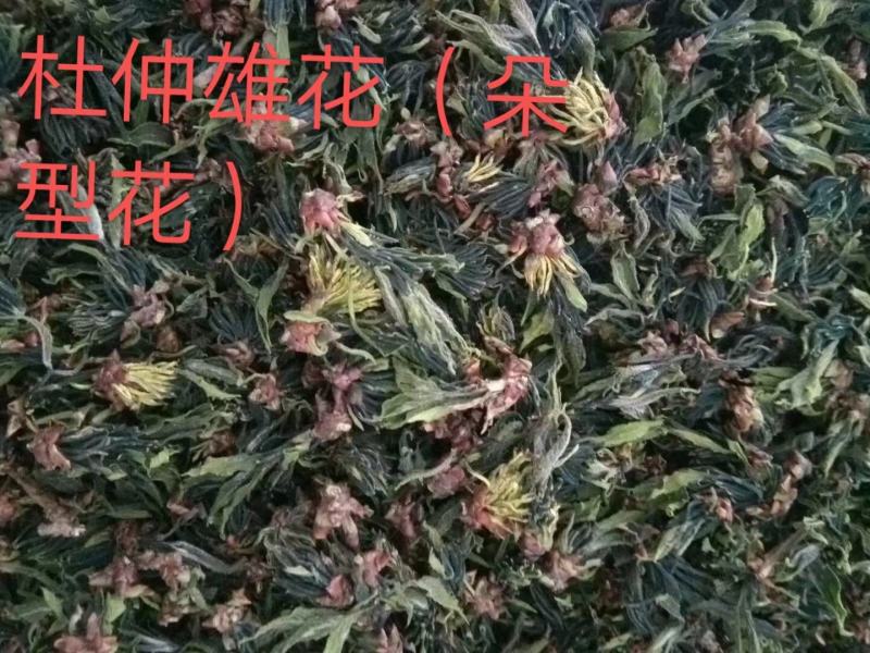 天然椴木黑木耳，椴木黄金木耳，椴木香菇，天麻，土蜂蜜，