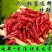 干辣椒段无籽辣椒段批发去籽辣椒段批发特辣中辣微辣酒店火锅