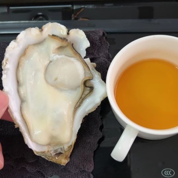 台山三倍体批发精品生蚝干净薄壳肥蚝有个数