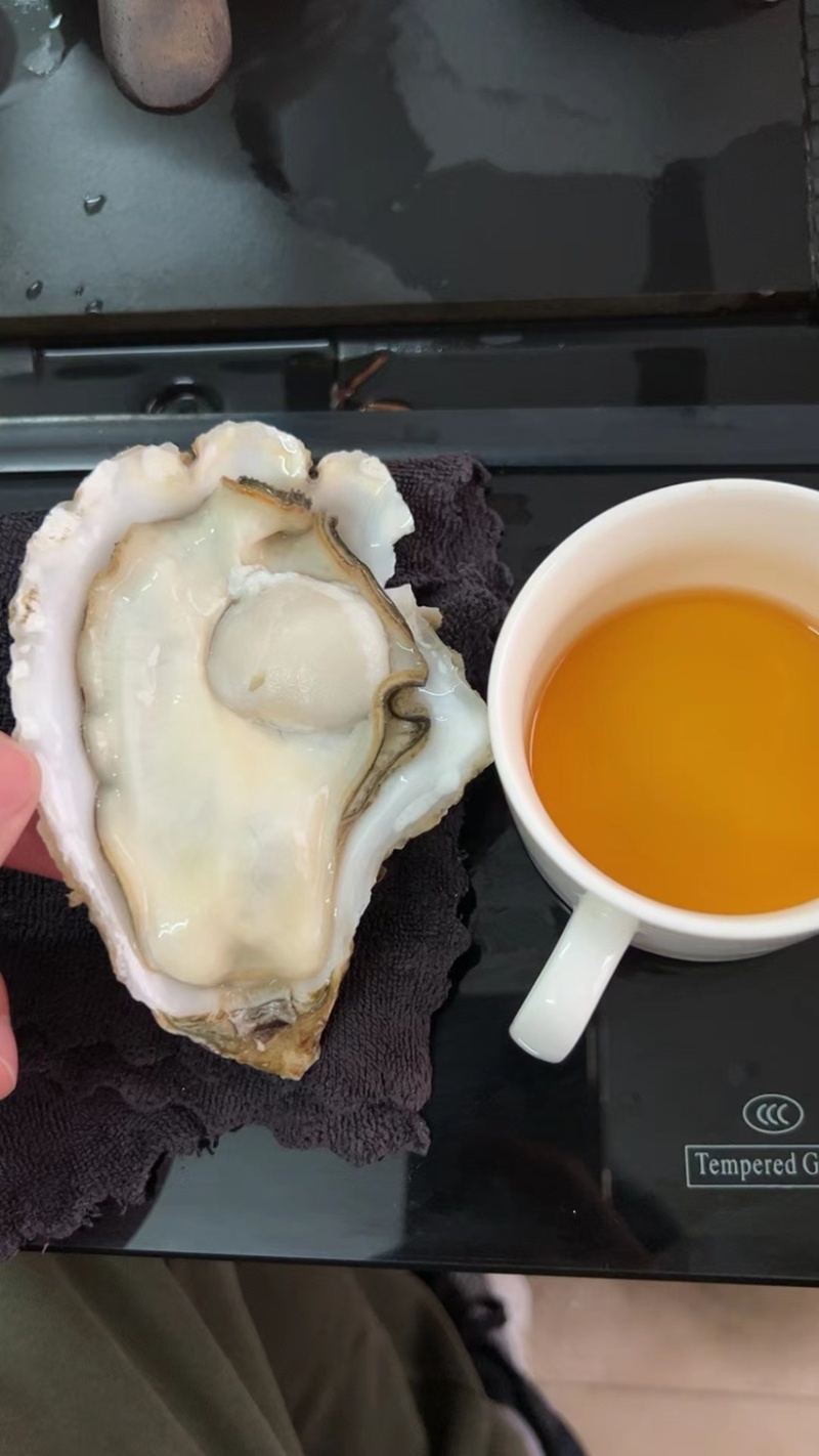 台山三倍体批发精品生蚝干净薄壳肥蚝有个数