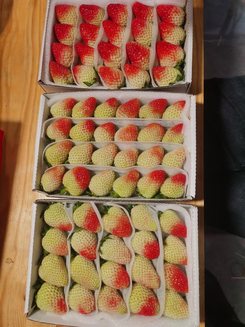 蒙特瑞草莓