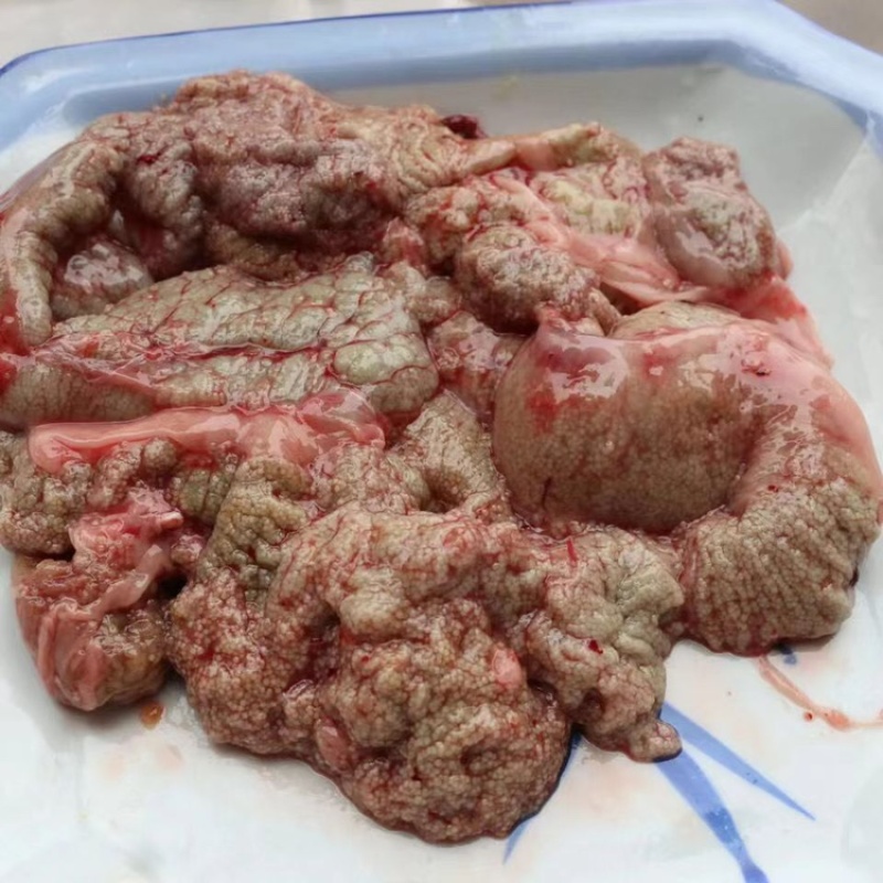 新鲜鱼籽鱼白，货源充足，供应全国，量大优惠