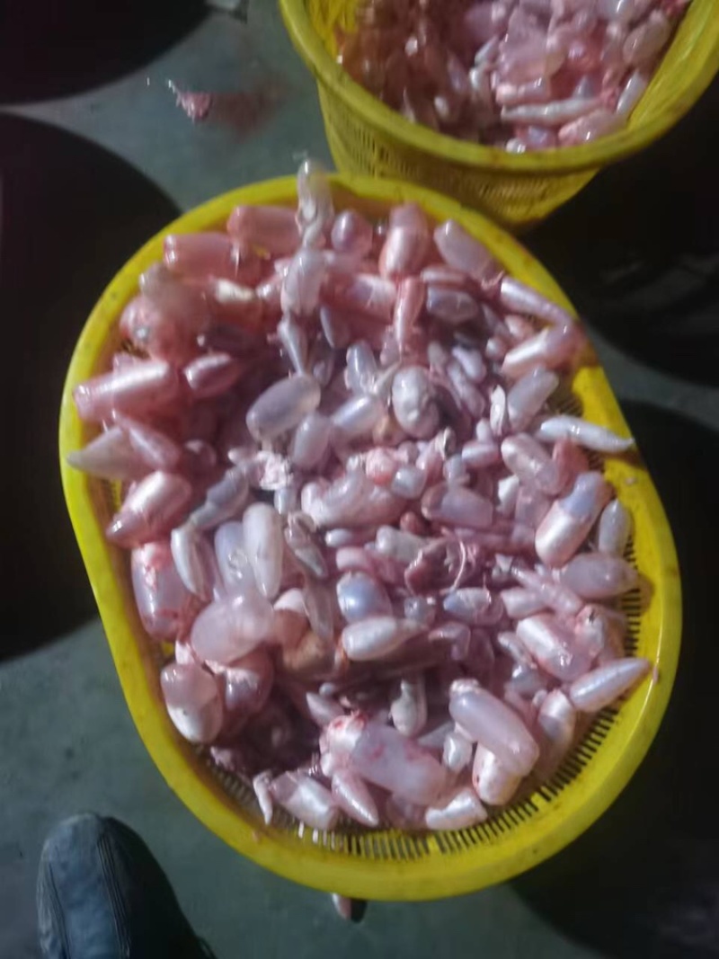 新鲜鱼籽鱼白，货源充足，供应全国，量大优惠