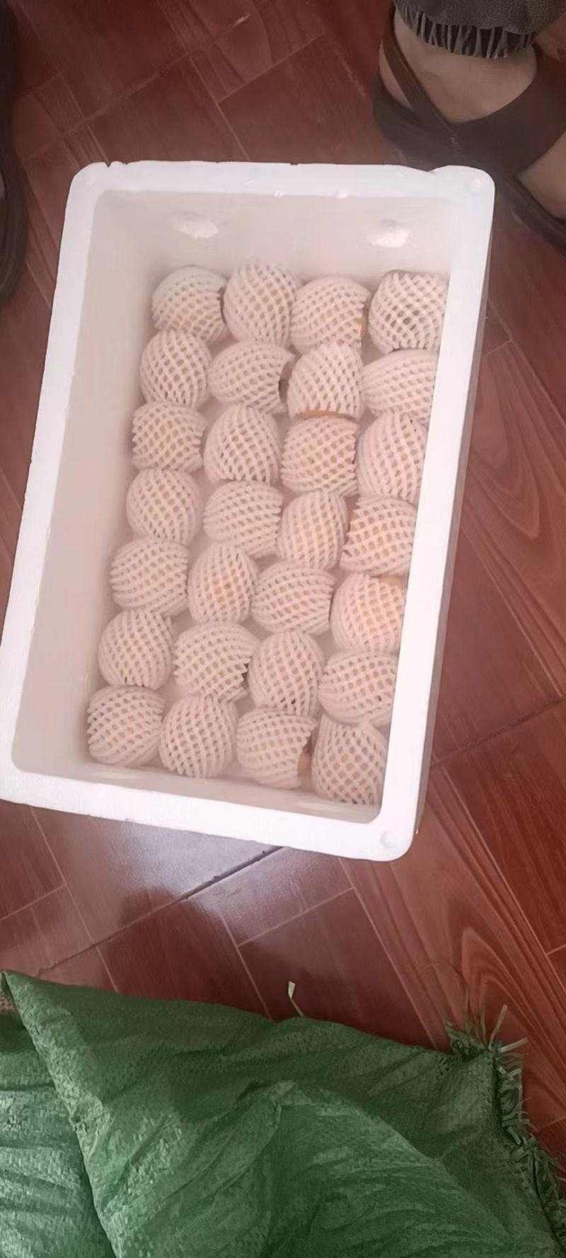 枇杷