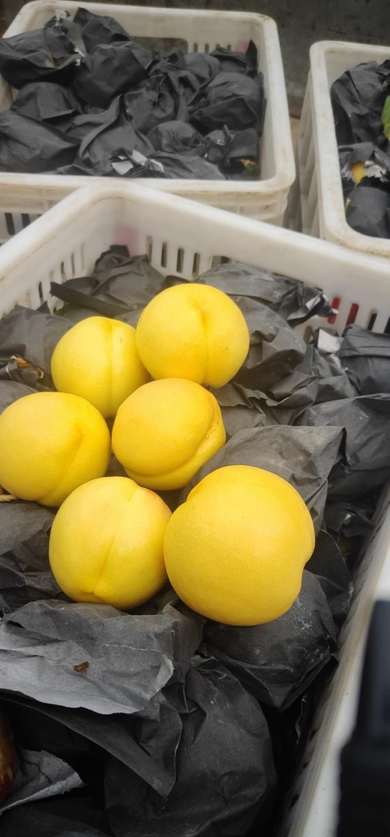 中油4油桃，个头大颜色全黄，口感好量大，价格便宜