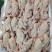 新鲜乳鸽5-9两量大从优货源充足，价格优惠