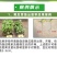 奥丰枯草芽孢杆菌生根壮苗改良土壤抗重茬防病蔬菜中药材菌肥