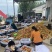 曙光油桃和早熟中熟小毛桃