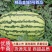 【精品】甘肃白银压沙石头瓜一手货源产地直供代发全国