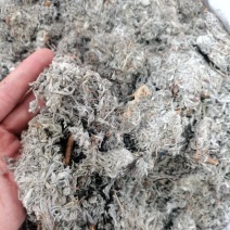 绵茵陈统装500g产地山东振兴药材购销站量大从优