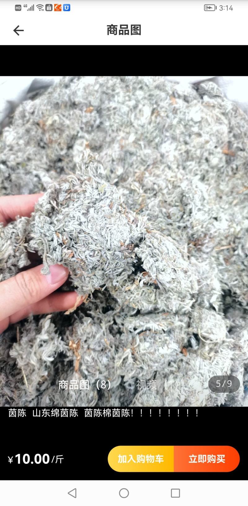 绵茵陈统装500g产地山东振兴药材购销站量大从优
