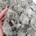 绵茵陈统装500g产地山东振兴药材购销站量大从优