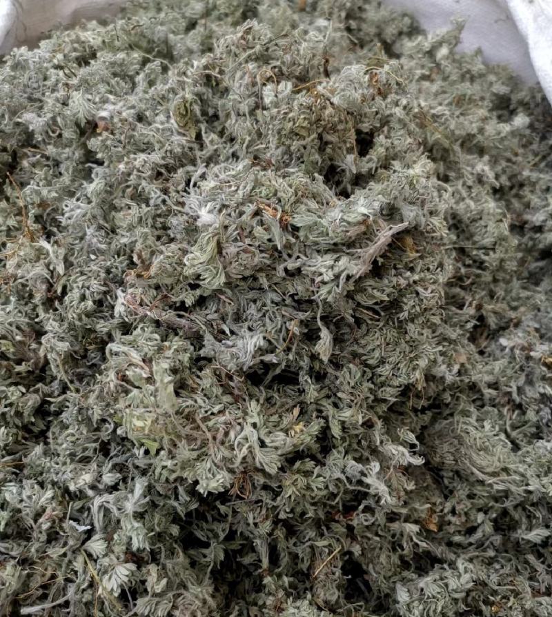 绵茵陈统装500g产地山东振兴药材购销站量大从优