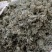 绵茵陈统装500g产地山东振兴药材购销站量大从优