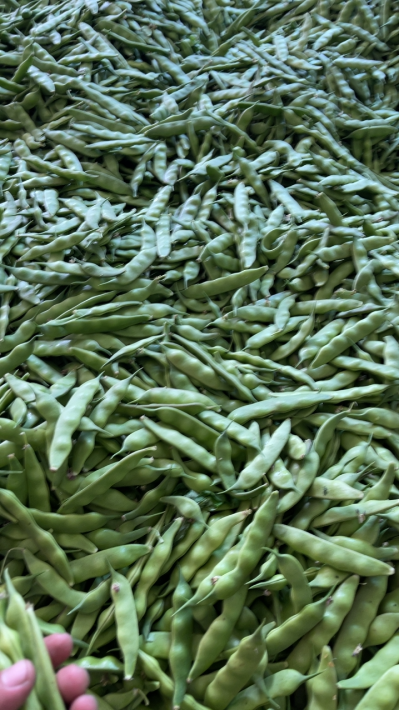 东北精品小油豆，全国整车发货，承接各大市场，商超。
