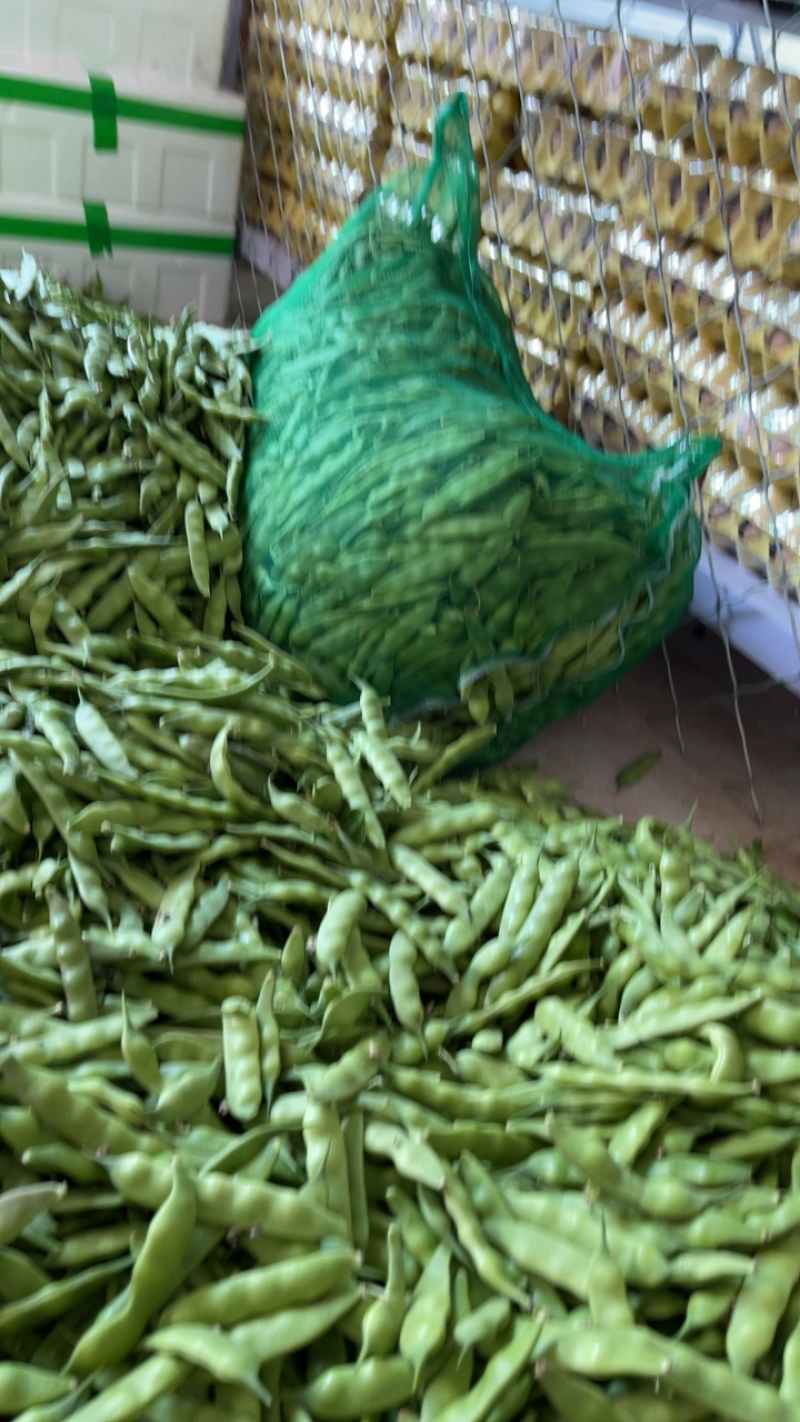 东北精品小油豆，全国整车发货，承接各大市场，商超。