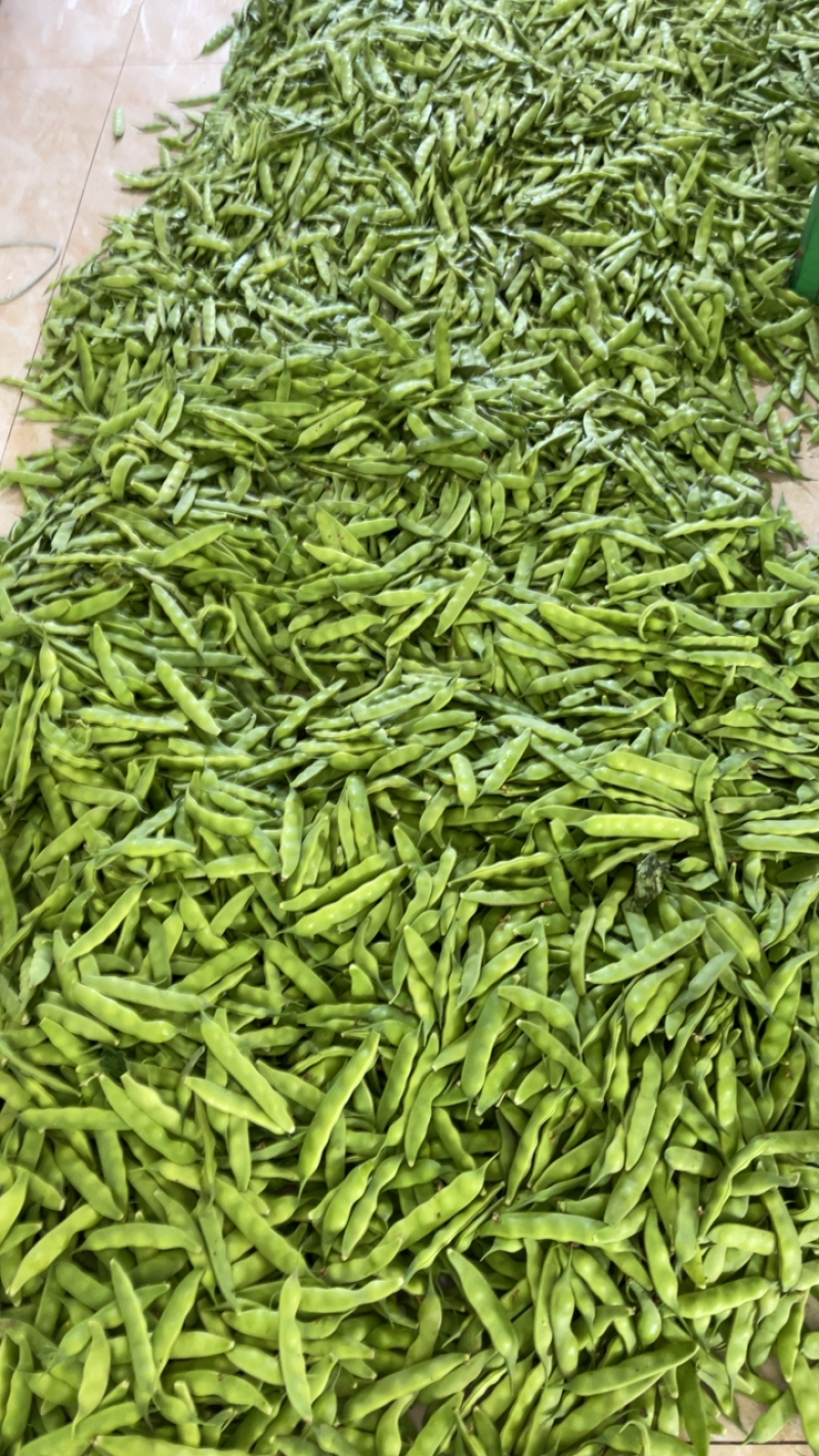 东北精品小油豆，全国整车发货，承接各大市场，商超。
