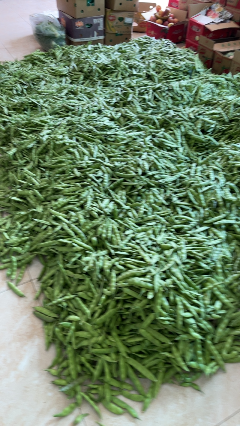东北精品小油豆，全国整车发货，承接各大市场，商超。