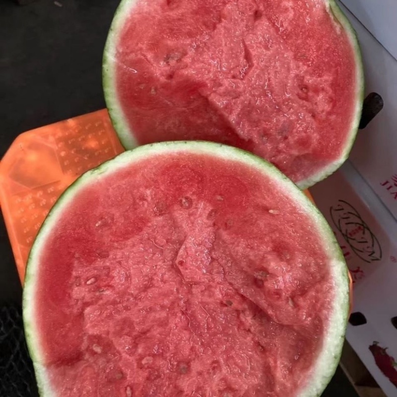 【精品西瓜】河南商丘8424精品西瓜多种规格价优