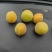 金太阳杏，个头大，价格美丽，口感甜。。。。。。