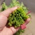 （大量供货）精品蒿子秆，质量保障，量大从优