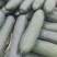 黑皮大东瓜，掉瓜18斤到50斤平均30斤皮毛漂亮