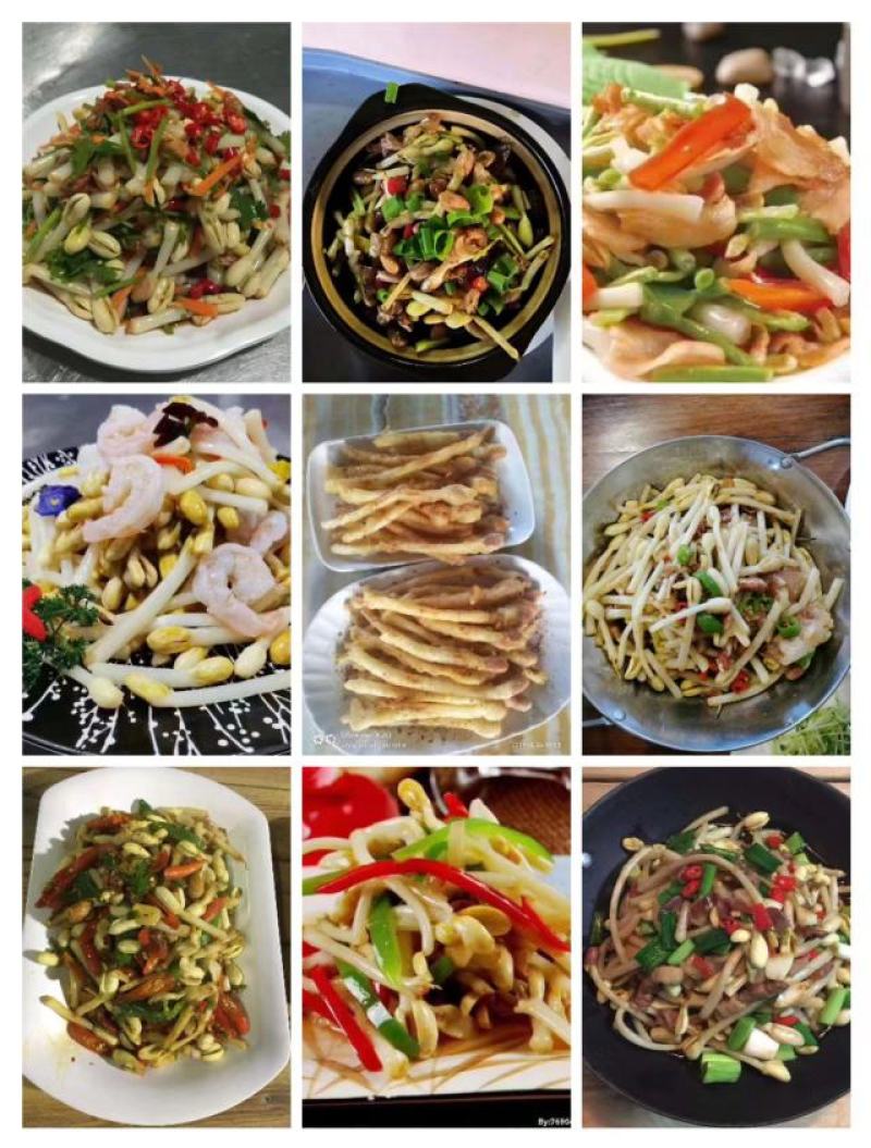 专业水培花生芽豌豆苗黑豆苗等
