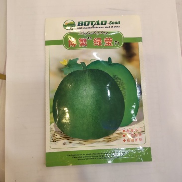 博繁绿莹F1甜瓜种子绿皮绿肉早熟含糖量18结果能力强