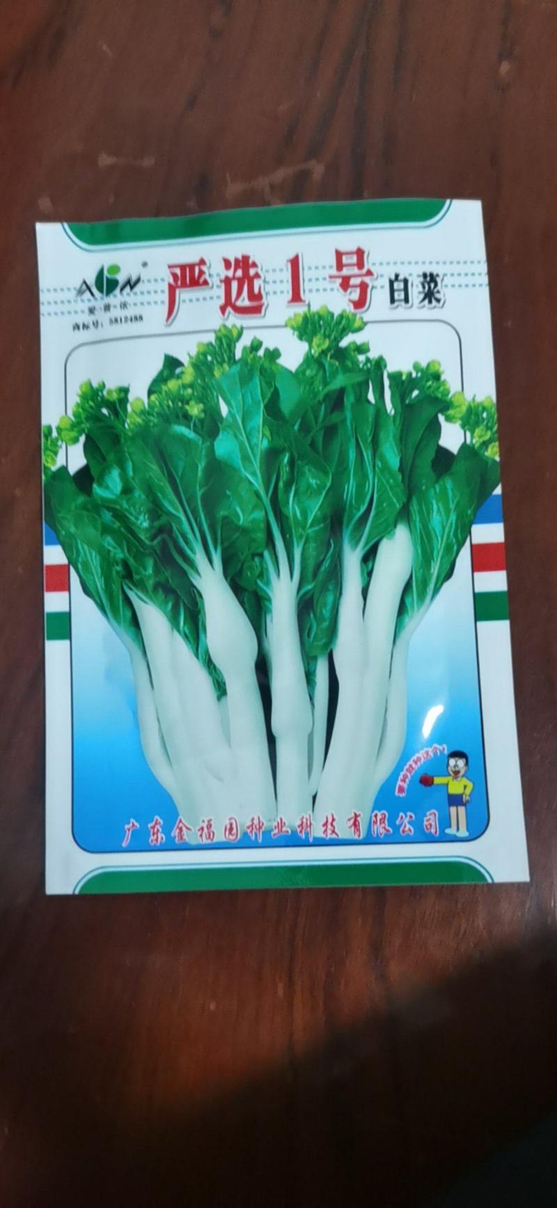 白菜苔种子，侧苔生长快，多次采收