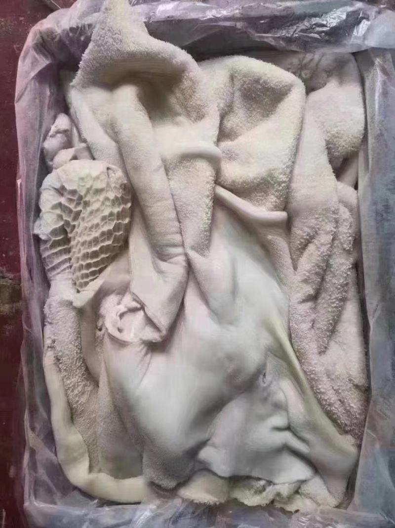 牛肚