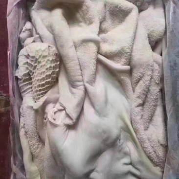 牛肚