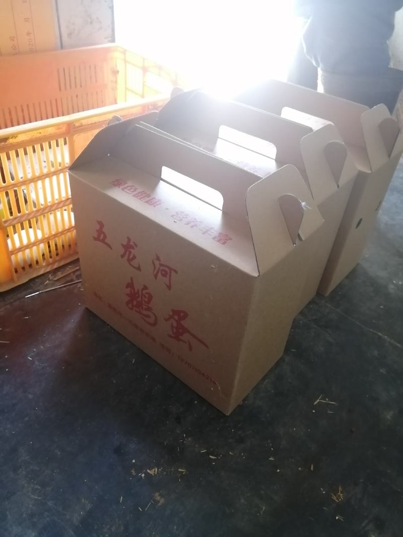 出售五龙鹅鹅蛋，豁眼鹅种蛋.均重2.1—2.6两，莱阳市