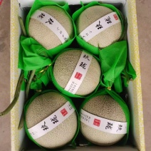 鲁厚甜
