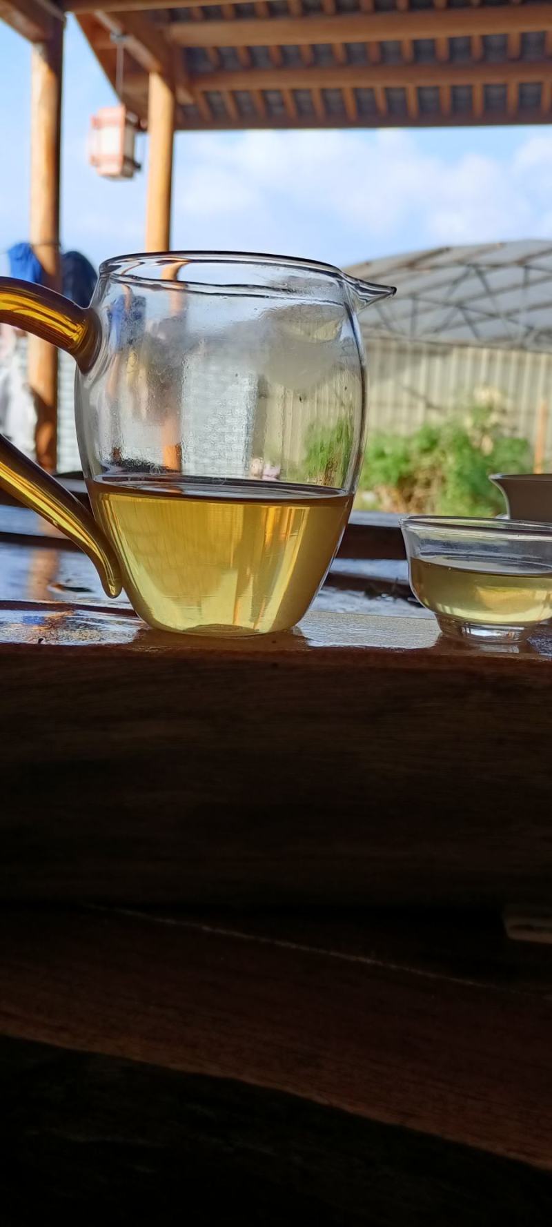 源头茶农自己家的古树茶，都是手工铁锅炒制