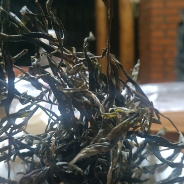 源头茶农自己家的古树茶，都是手工铁锅炒制