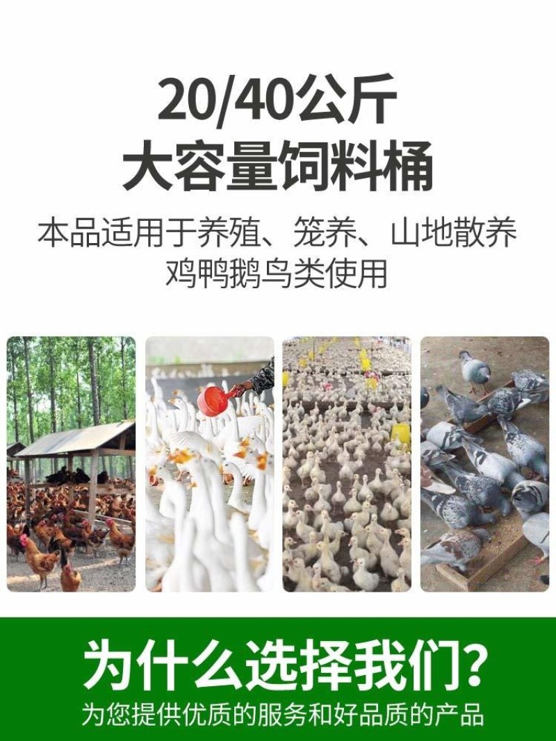 40公斤加厚养鸡鸭鹅用加大料桶食桶喂食器养殖设备养鸡用饲