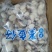 墨鱼仔去皮去内脏新鲜冷冻火锅串串10斤单冻乌贼包邮