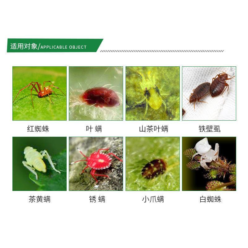 阿维哒螨灵红蜘蛛专用药月季花卉柑橘果树叶螨杀卵杀虫农药杀