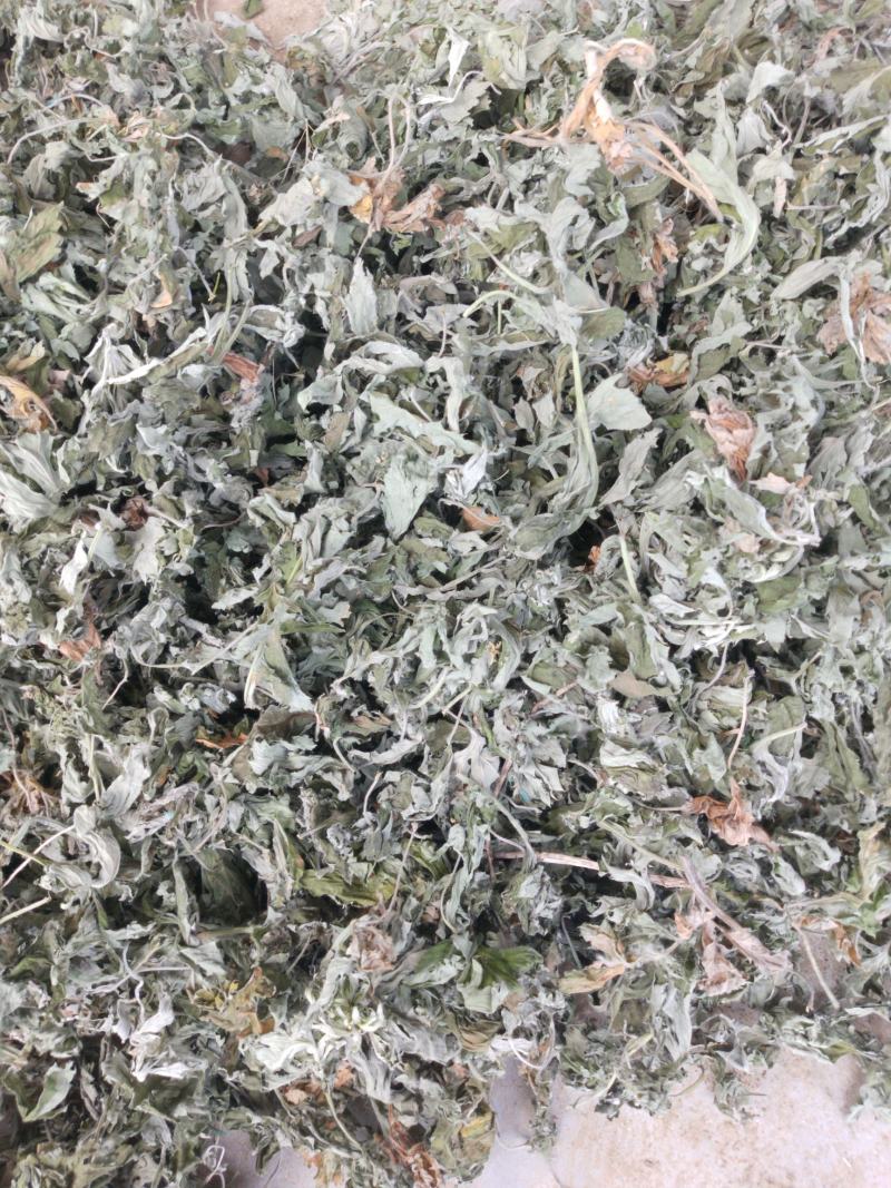 艾叶中药材批发大艾叶，艾草多年陈艾