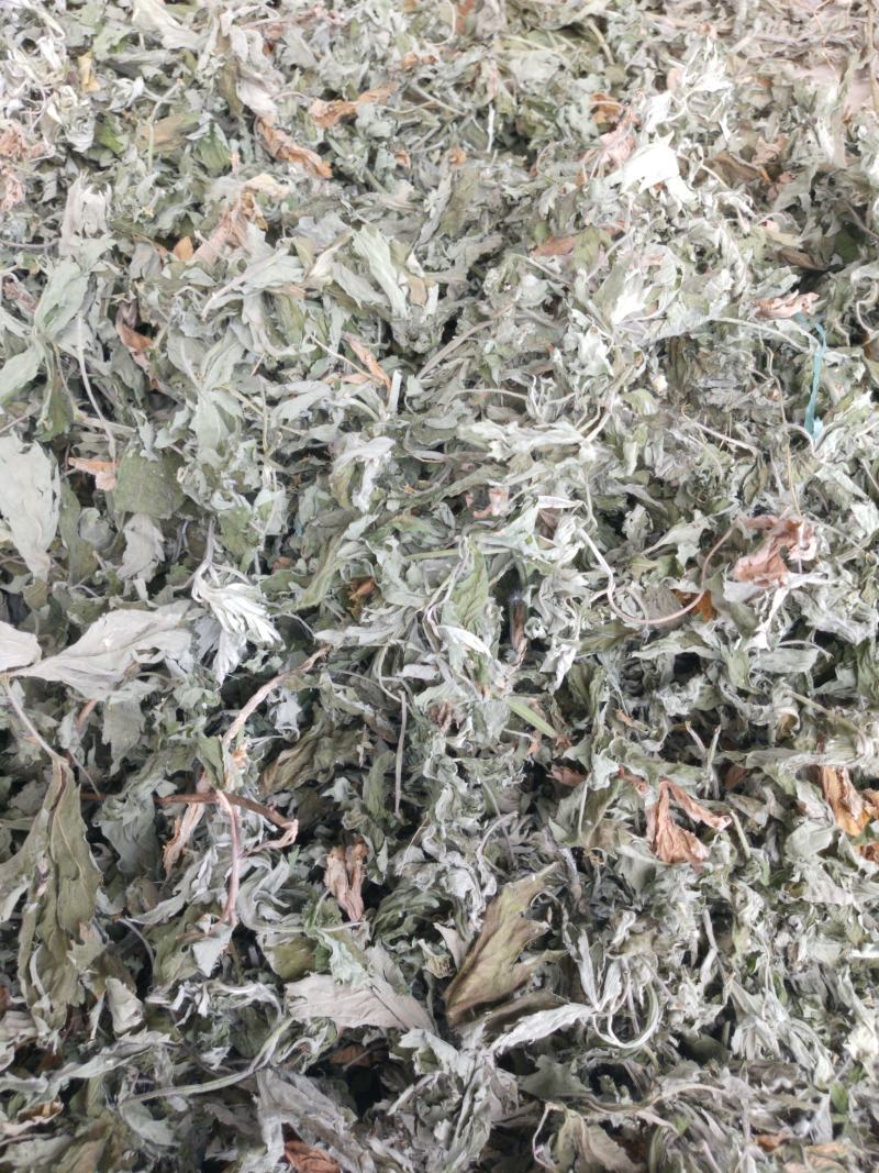 艾叶中药材批发大艾叶，艾草多年陈艾