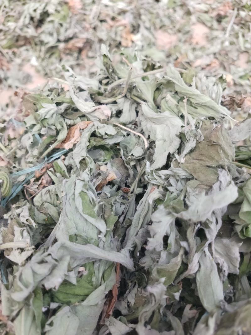艾叶中药材批发大艾叶，艾草多年陈艾