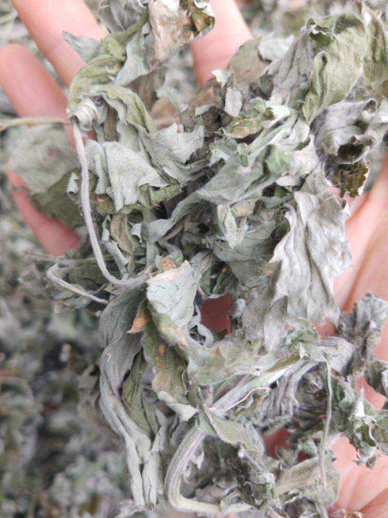 艾叶中药材批发大艾叶，艾草多年陈艾