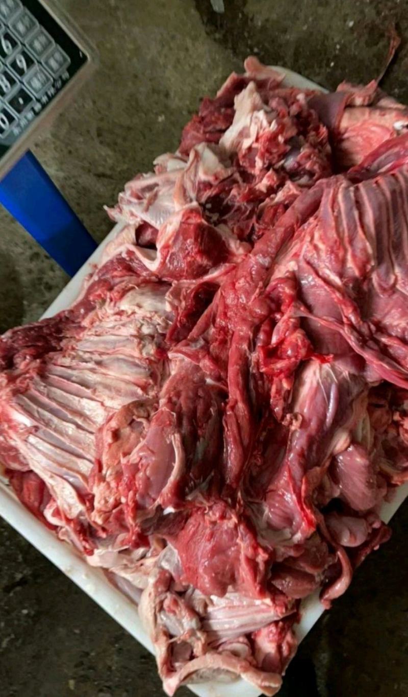 菏泽山羊肉