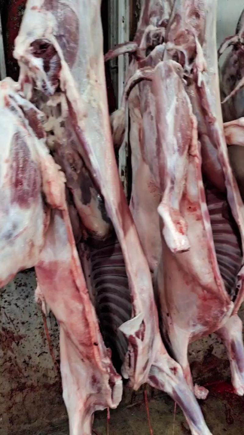 菏泽山羊肉