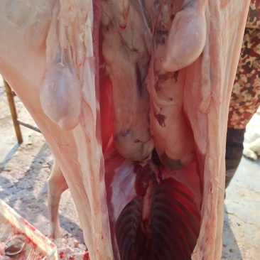 菏泽山羊肉