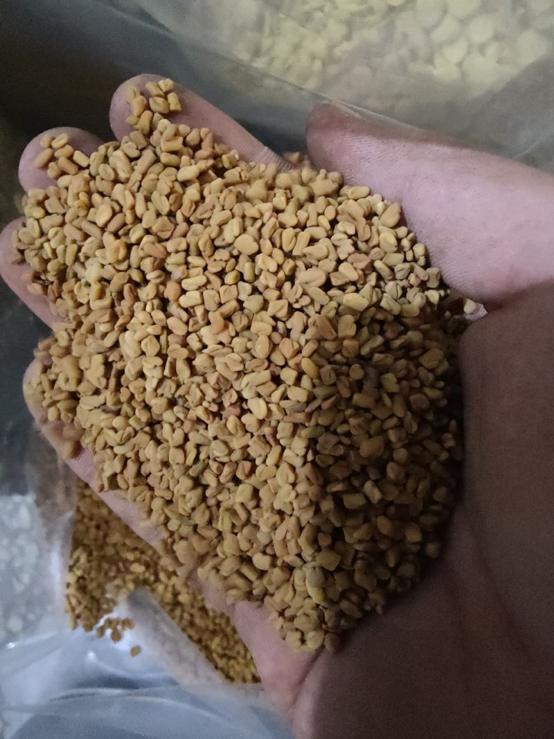 中药材葫芦巴籽葫芦巴子芦巴子卢巴子籽胡
